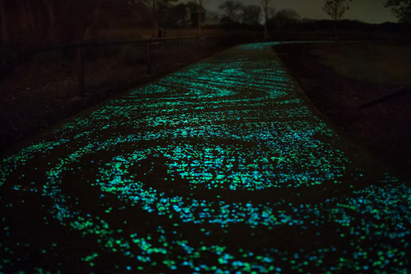 World First Glow in The Dark Bike Paths Set in Netherlands